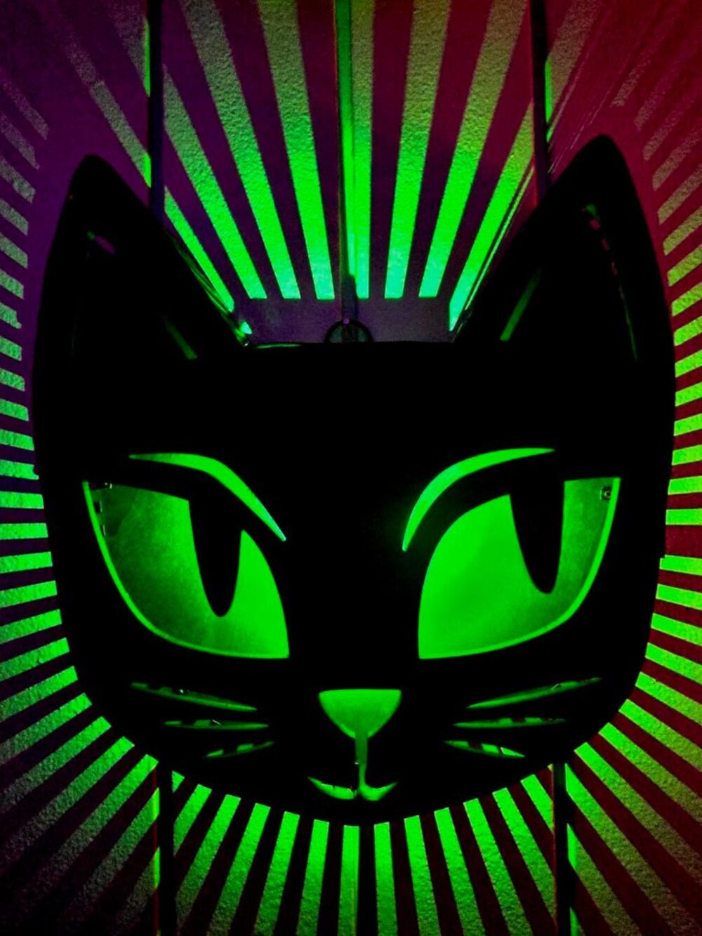 Black Cat Light,Battery Operated LED Sign